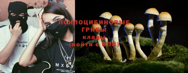 спиды Болхов