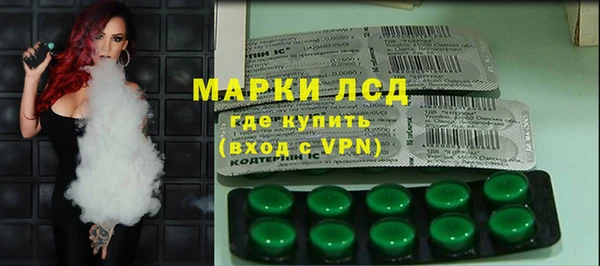 бошки Бородино